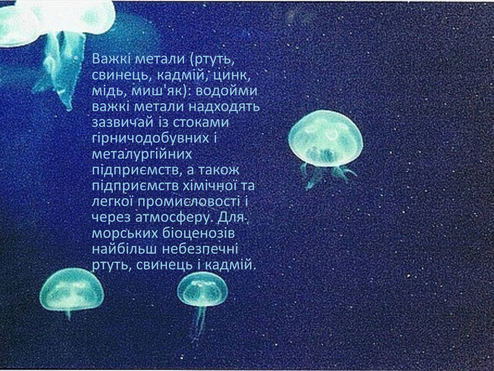 Презентація на тему «Міжнародне використання світового океану» - Слайд #28