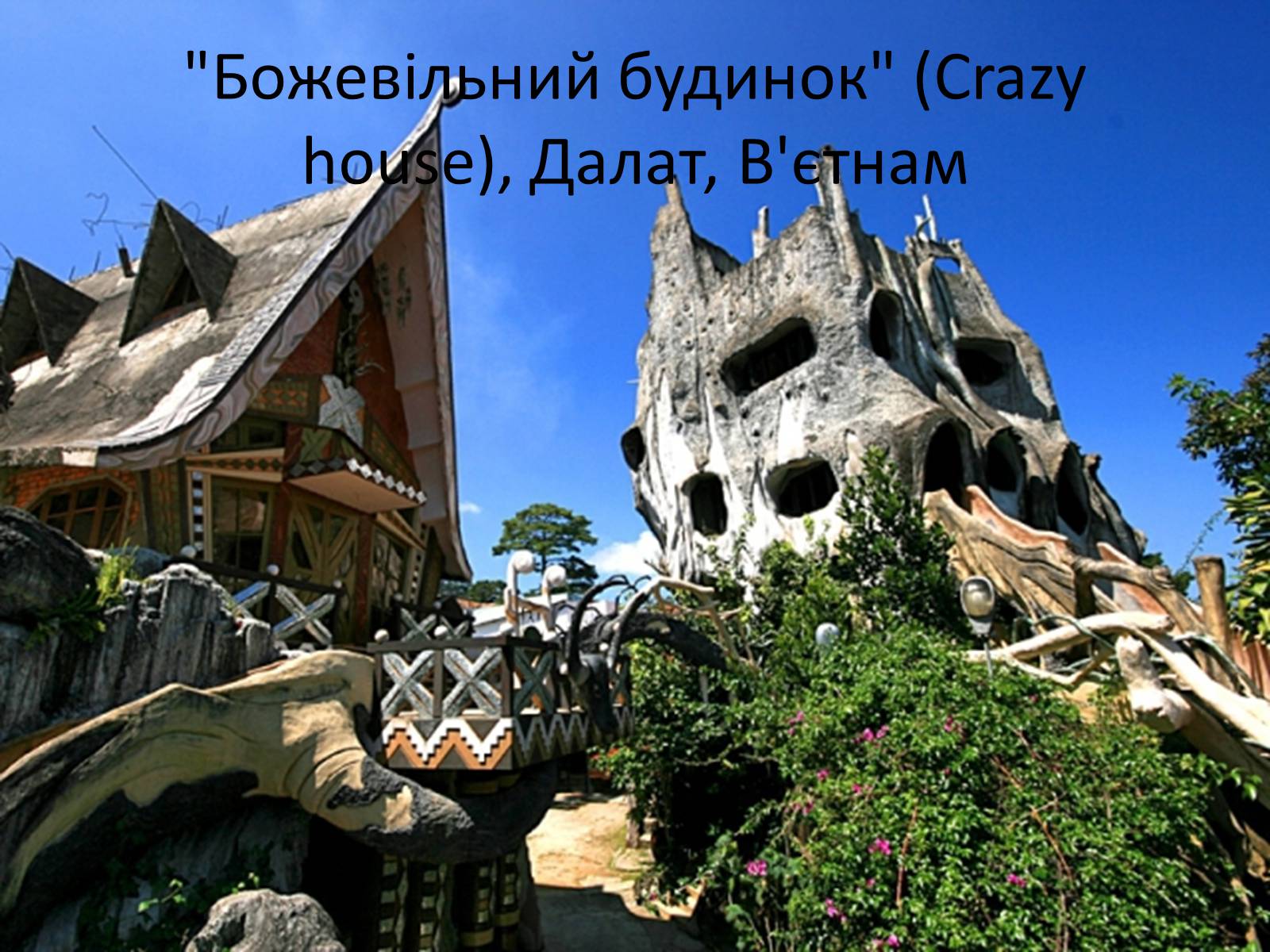 Презентація на тему «Незвичайні будинки у світі: 10 найцікавіших» - Слайд #23