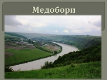 Презентація на тему «Медобори»