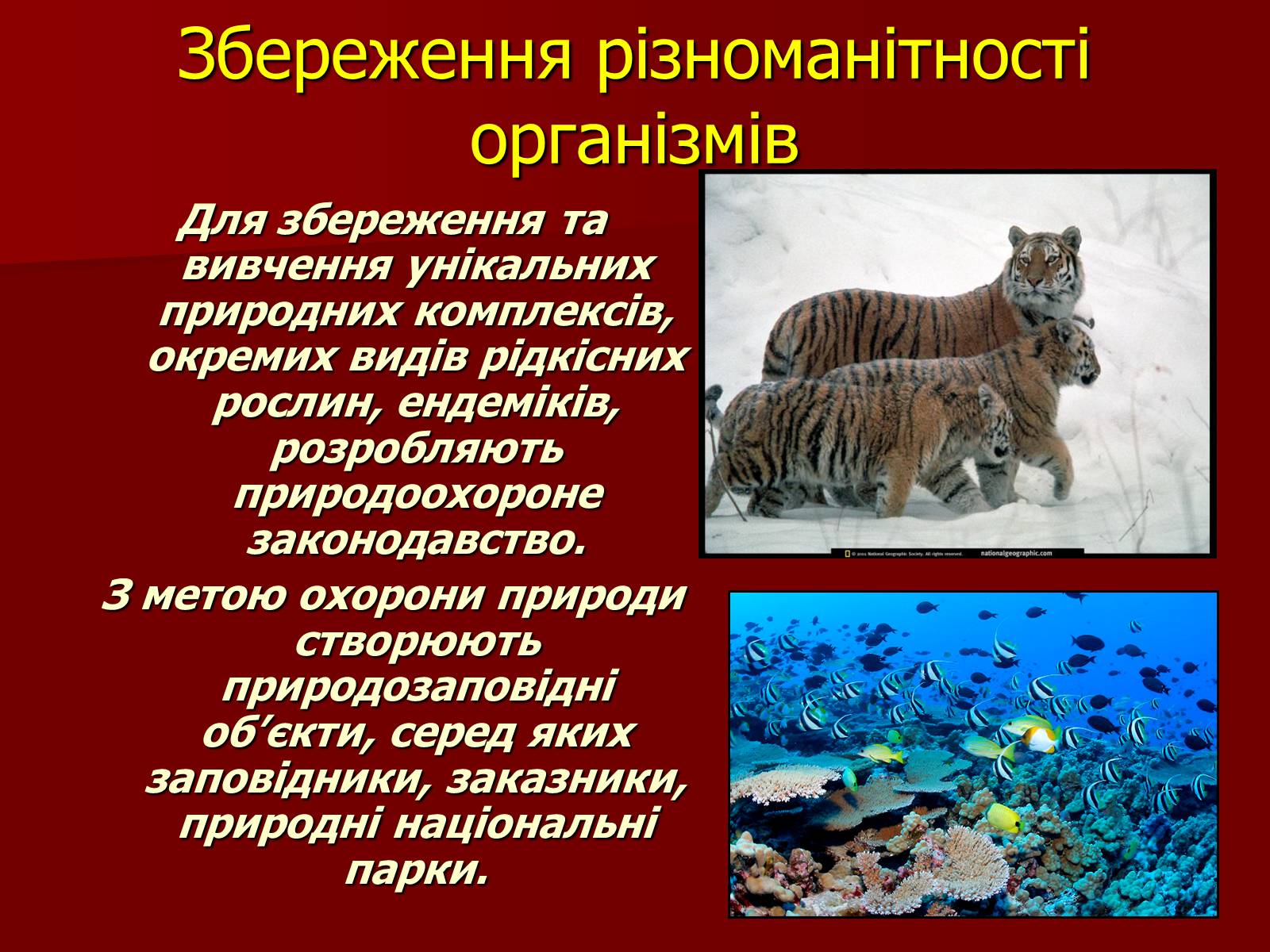 Презентація на тему «Охорона біосфери» (варіант 1) - Слайд #10