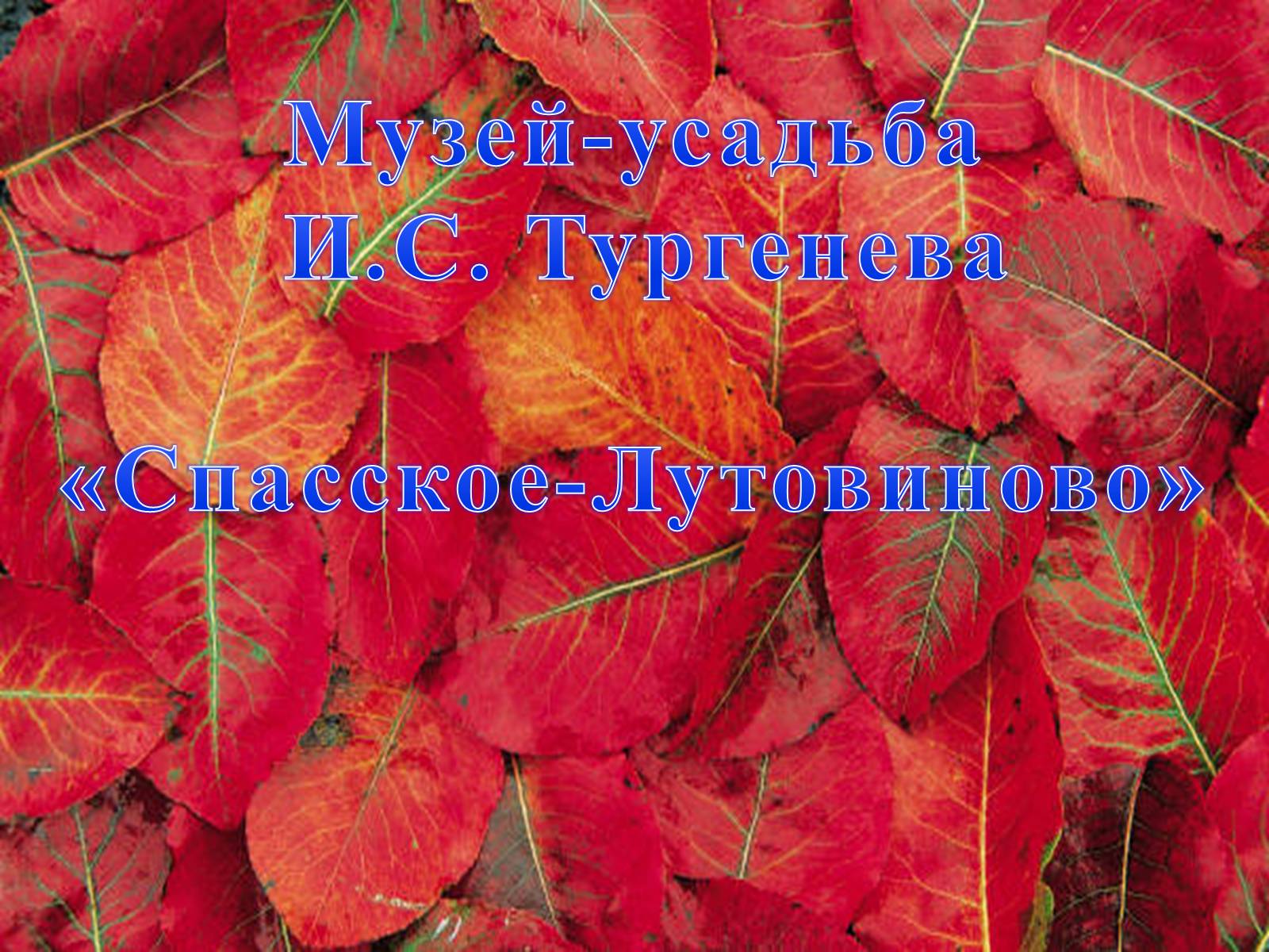 Презентація на тему «Музей-усадьба Тургенева» - Слайд #1