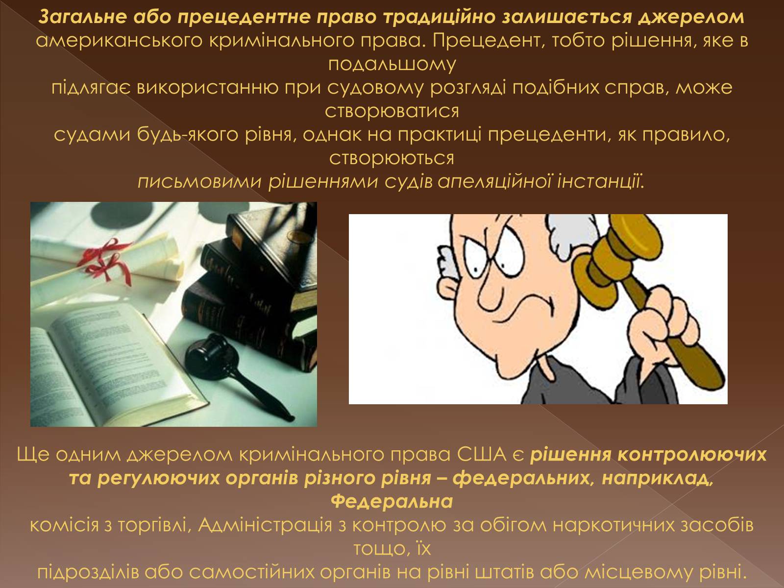 Презентація на тему «Кримінальне право у різних країнах світу» - Слайд #13