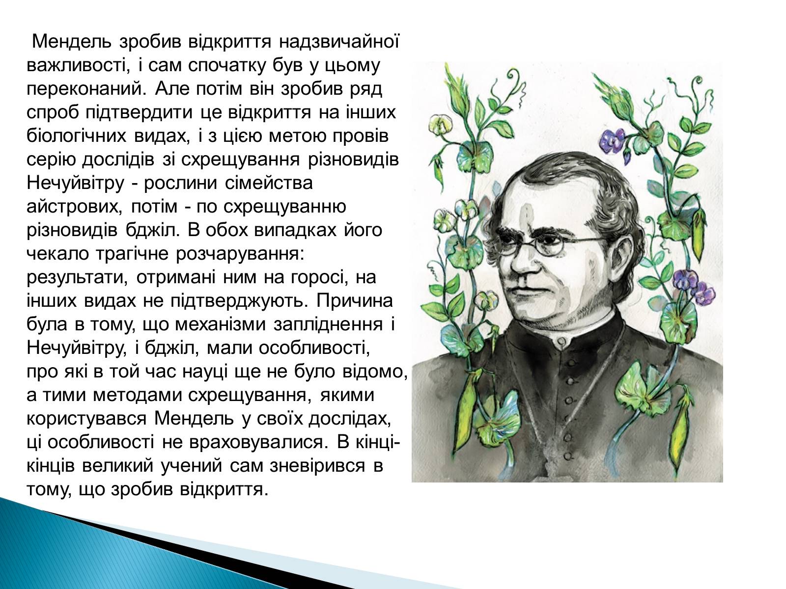 Презентація на тему «Мендель Грегор Йоганн» - Слайд #8