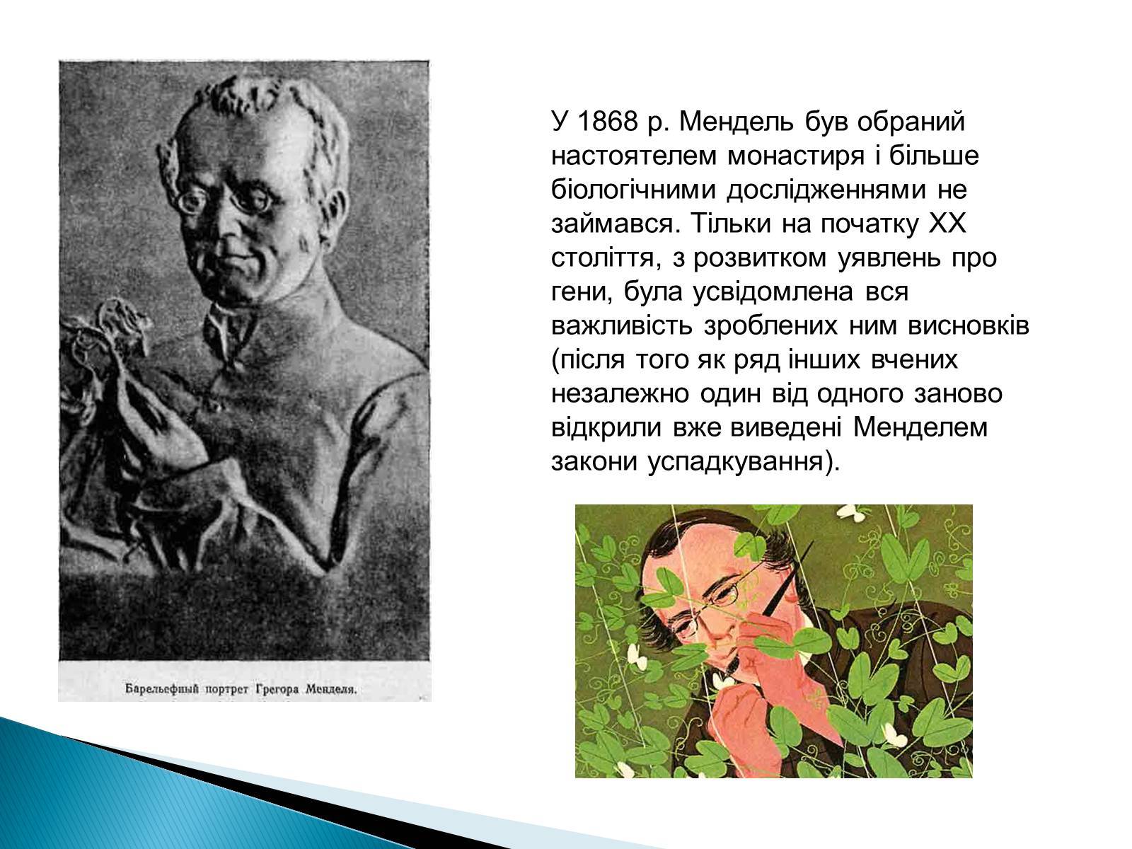 Презентація на тему «Мендель Грегор Йоганн» - Слайд #9