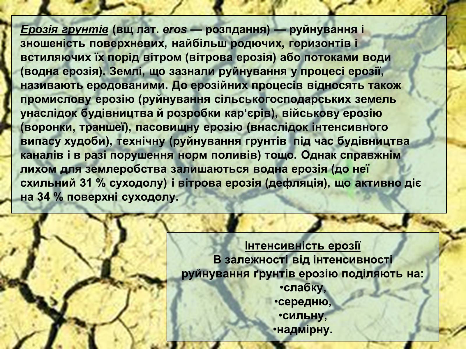 Презентація на тему «Деградація природи» (варіант 1) - Слайд #13