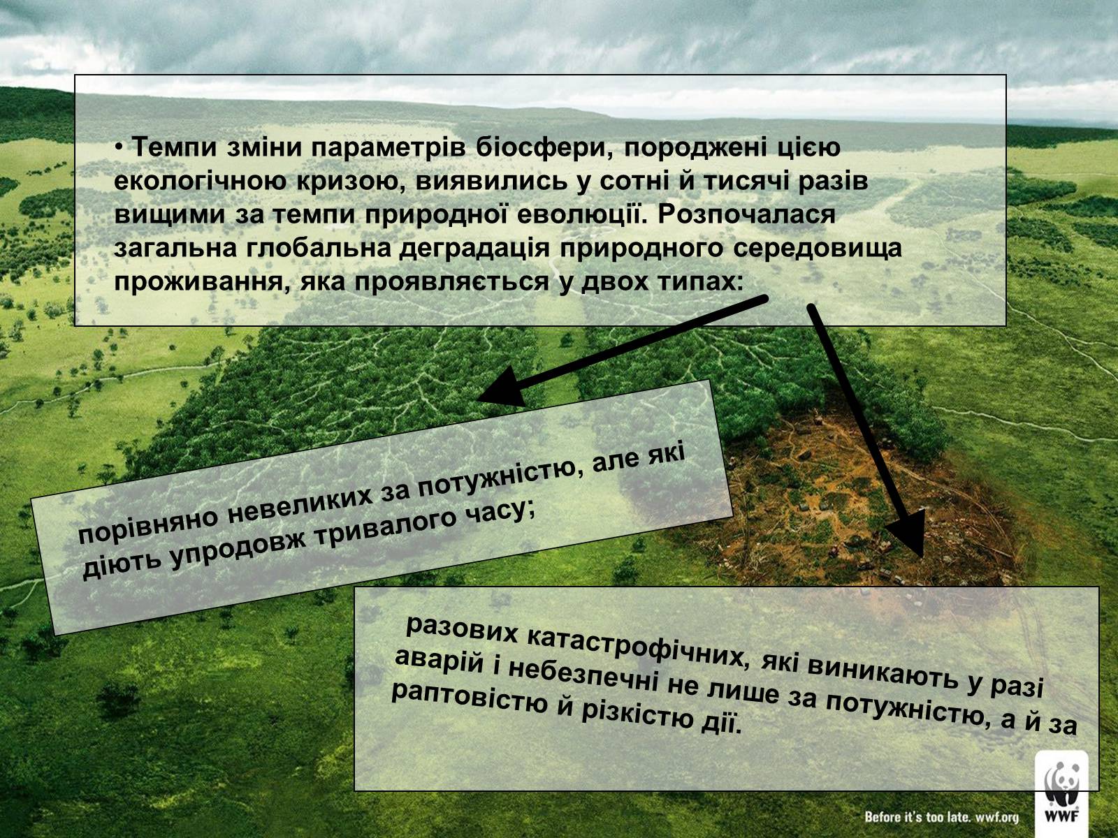 Презентація на тему «Деградація природи» (варіант 1) - Слайд #5