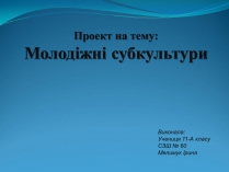 Презентація на тему «Молодіжні субкультури» (варіант 17)