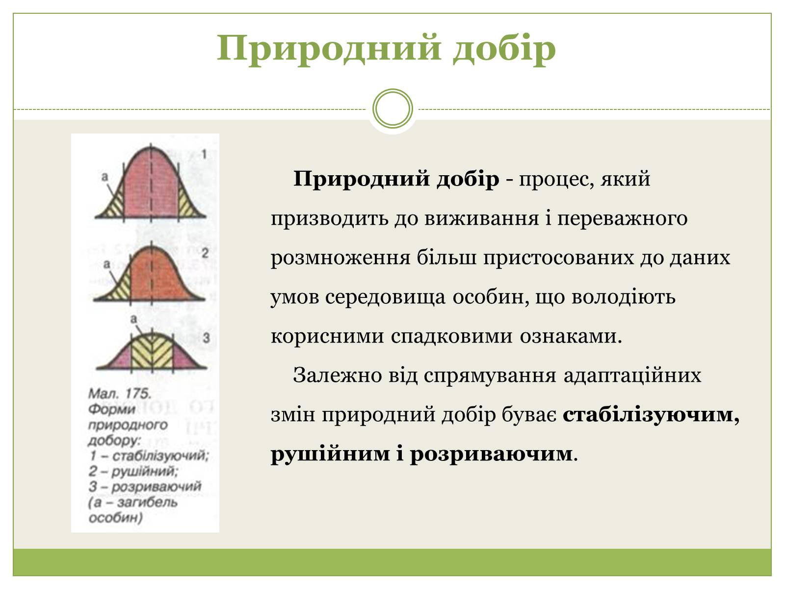 Презентація на тему «Форми природного добору» - Слайд #2
