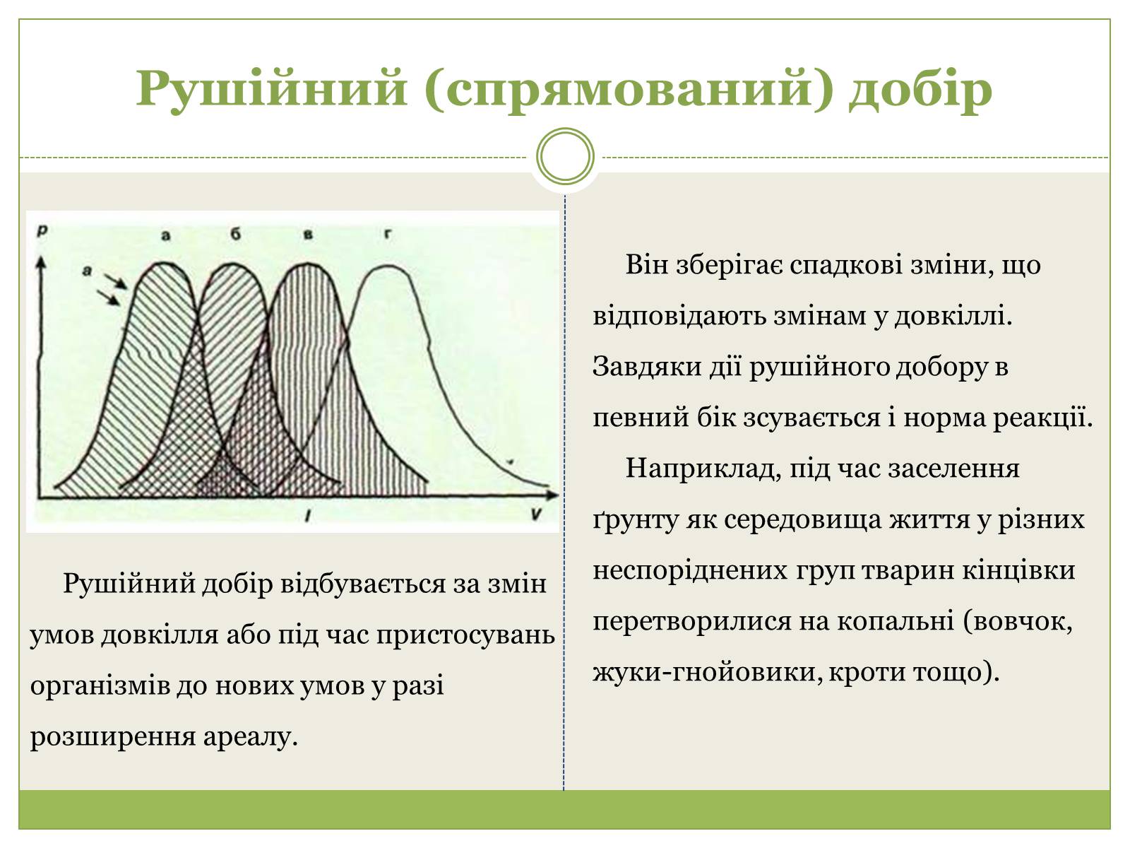 Презентація на тему «Форми природного добору» - Слайд #4
