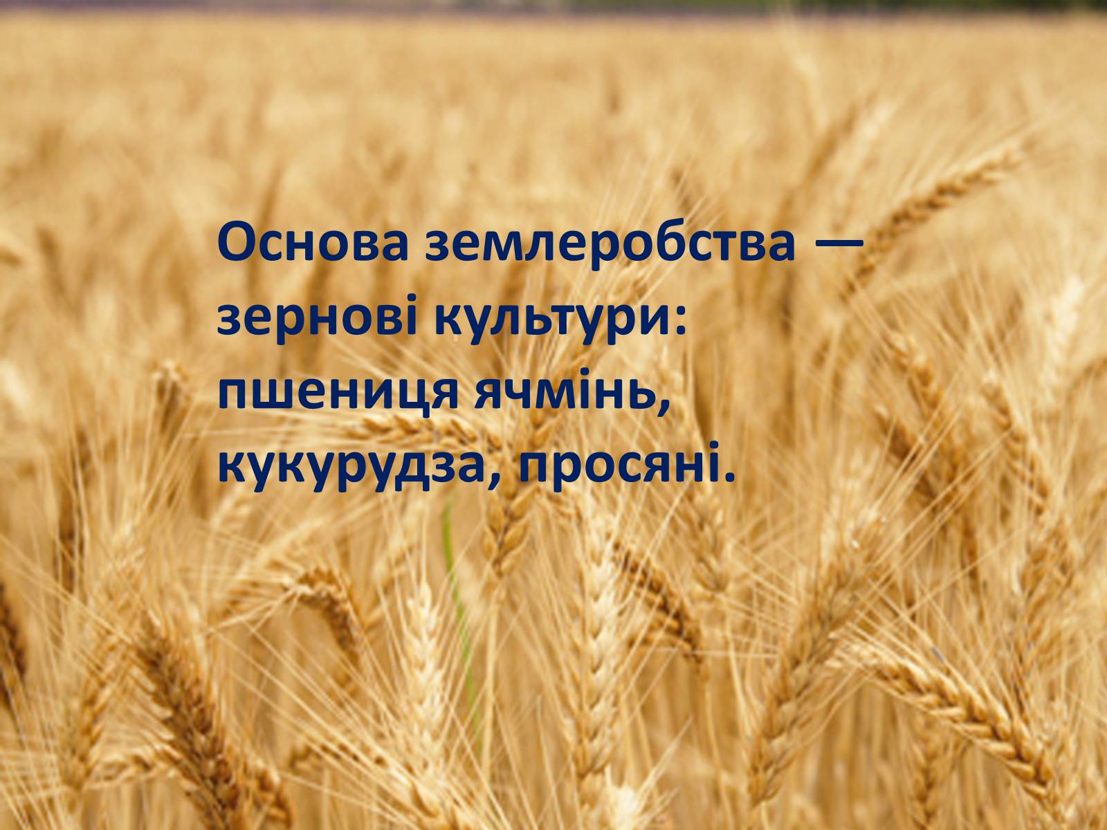 Презентація на тему «Традиційна економічна система» - Слайд #18